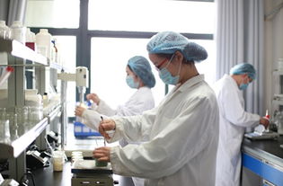 御泥坊工廠獲高新技術(shù)企業(yè)認(rèn)定，技術(shù)服務(wù)驅(qū)動行業(yè)創(chuàng)新